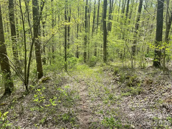 99999 Martins Creek RD, Barnardsville, NC 28709