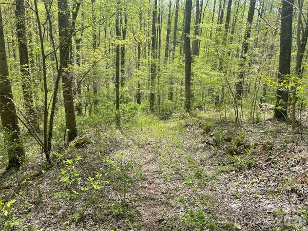99999 Martins Creek RD, Barnardsville, NC 28709