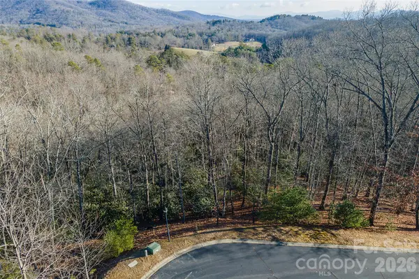 80 Buckhead TRL #27, Horse Shoe, NC 28742