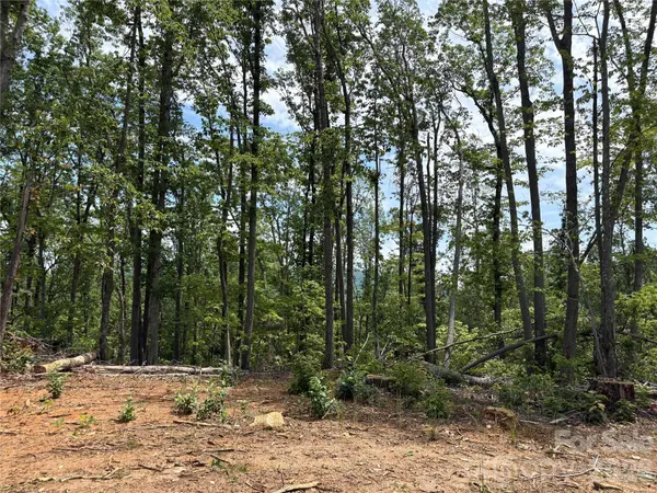 TBD Early RD, Saluda, NC 28773