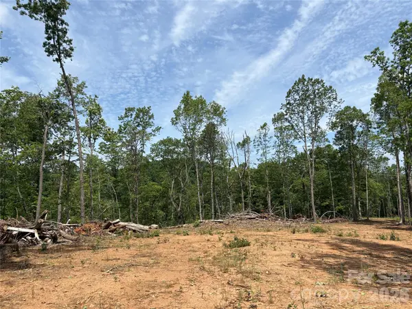 TBD Early RD, Saluda, NC 28773