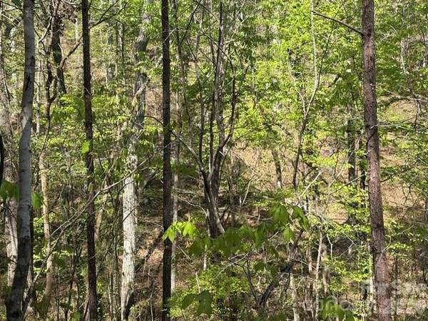 21 AC Sweet Hope Church RD, Carlisle, SC 29031