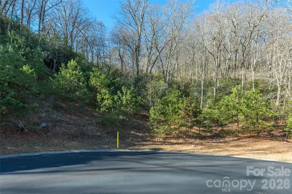 9999 Mayfly LN #106, Horse Shoe, NC 28742