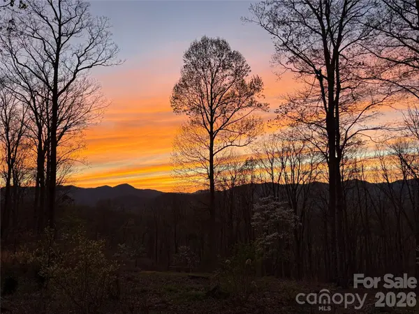 241 Alta Vista DR, Candler, NC 28715