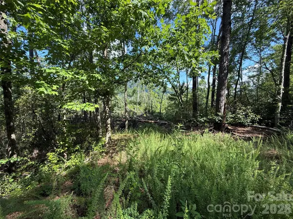 999 Fox Ridge TRL #7, Marion, NC 28752