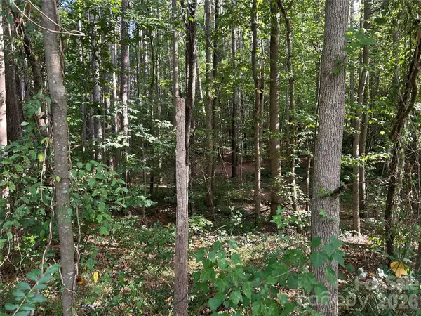00 Knottywood LN #25, Vale, NC 28168