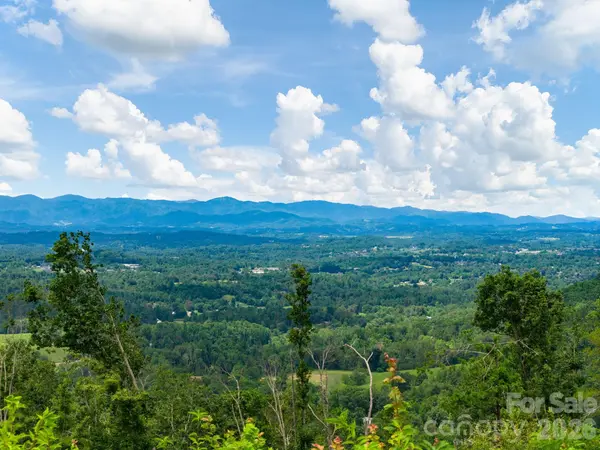 46 Perennial RDG, Weaverville, NC 28787