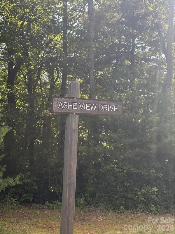 TBD Lot #30 Ashe View DR, Millers Creek, NC 28651