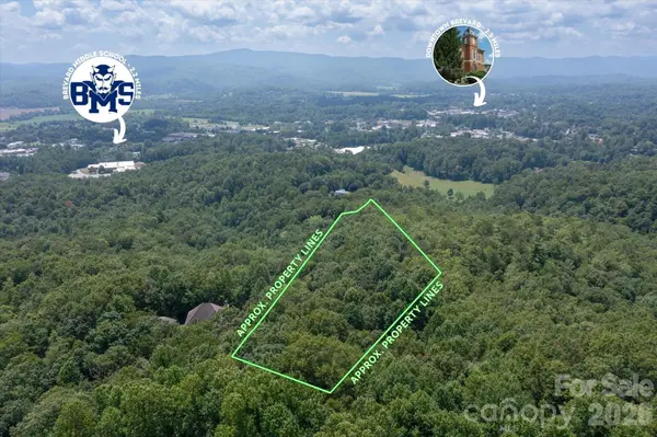 TBD Stone DR #L40, Brevard, NC 28712