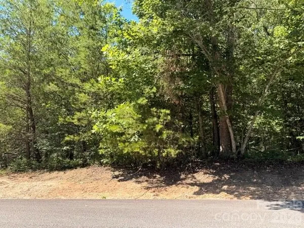 00 Panorama DR #13, Nebo, NC 28761