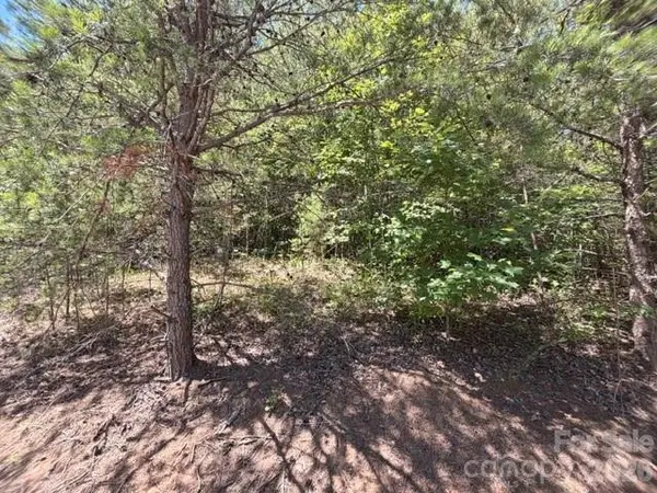 00 Sundance DR #5-IV, Nebo, NC 28761