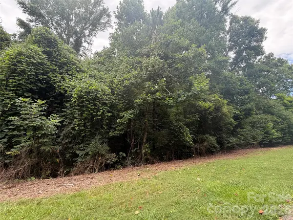 1575 Cranwell DR, Mt Ulla, NC 28125