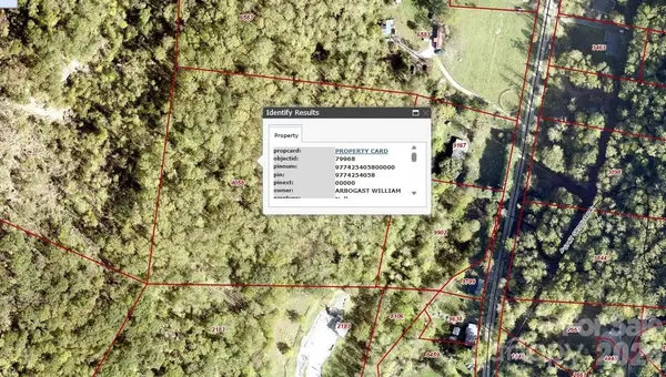 99999 Paint Fork RD, Barnardsville, NC 28709