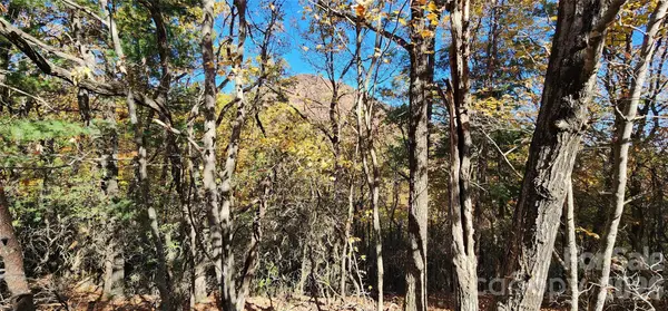 Lot 22 A Pinnacle Pkwy #22 A, Union Mills, NC 28167