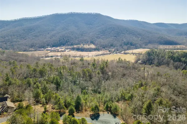 99999 Woodhen WAY #138 & 139, Horse Shoe, NC 28742
