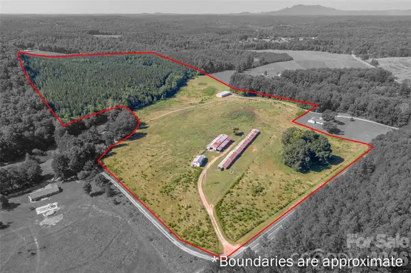 83 Acres +/- Pleasant Grove RD, Rutherfordton, NC 28139