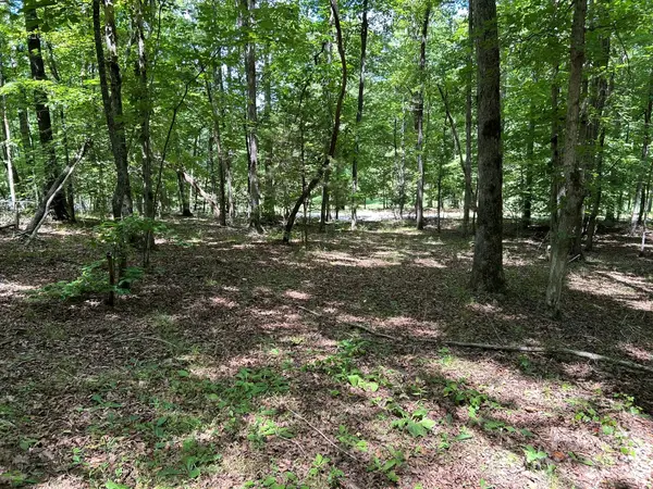 0 Wilderness RDG #4, Rutherfordton, NC 28139