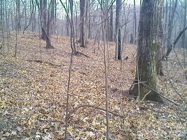 Lot 246 Glen Ridge TRL, Lake Lure, NC 28746