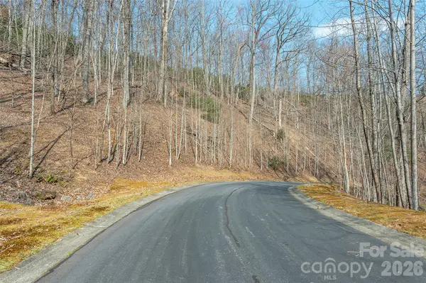 Lot 11 Shining Rock PATH, Horse Shoe, NC 28742