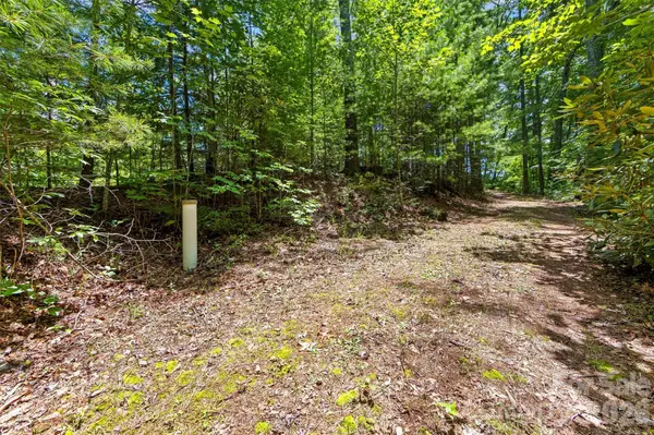 Lot 21 Big Raven LN, Saluda, NC 28773