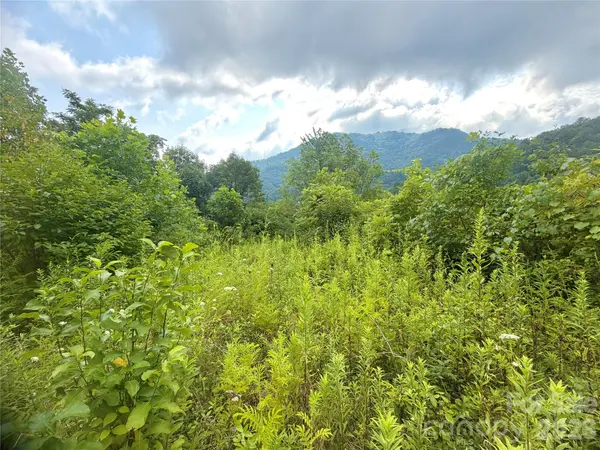 00 Trillium WAY, Clyde, NC 28721