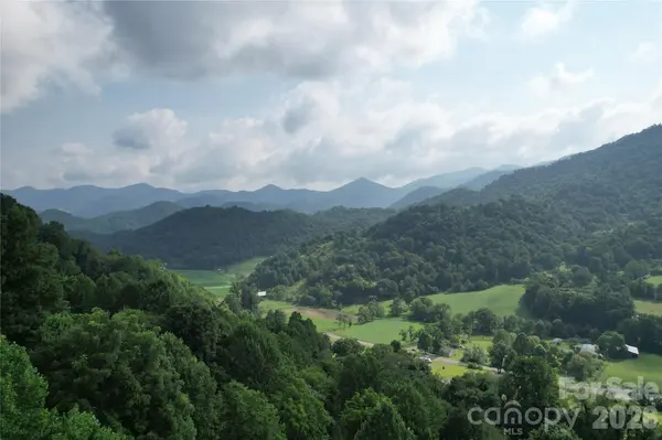 00 Trillium WAY, Clyde, NC 28721