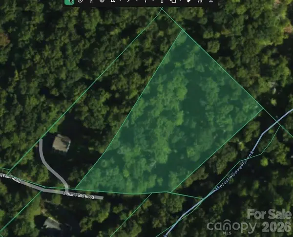 TBD Indian Falls RD, Asheville, NC 28803