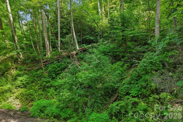 TBD Indian Falls RD, Asheville, NC 28803