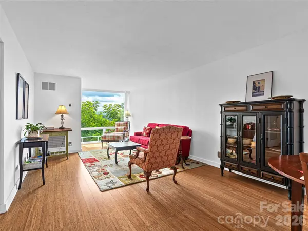 647 Town Mountain RD #309, Asheville, NC 28804