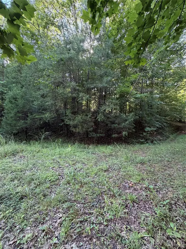 0 Greenhill Farms DR #15, Rutherfordton, NC 28139