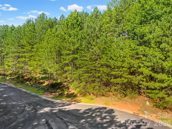 2117 Wood Clough CT #341, Belmont, NC 28012