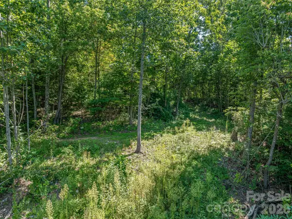 632 Justus Case Mountain PL, Hendersonville, NC 28792