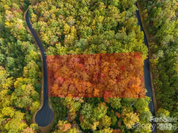 99999 Mills River WAY #Lot 107, Horse Shoe, NC 28742