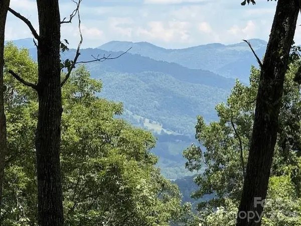 110 Cabin RDG #110, Waynesville, NC 28785