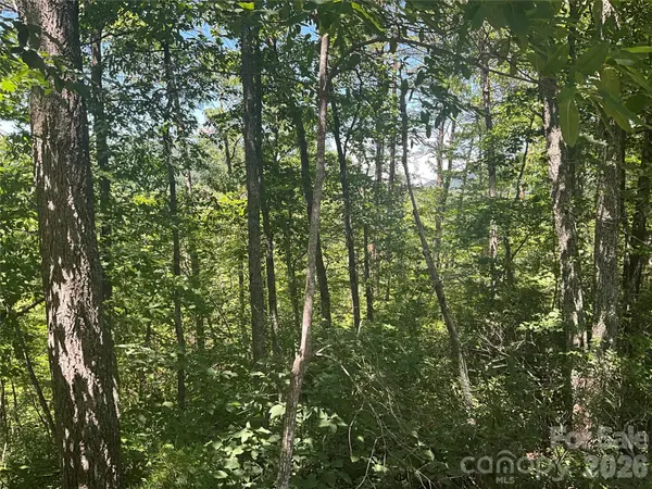 Lot 67 TreeTops LN, Lake Lure, NC 28746