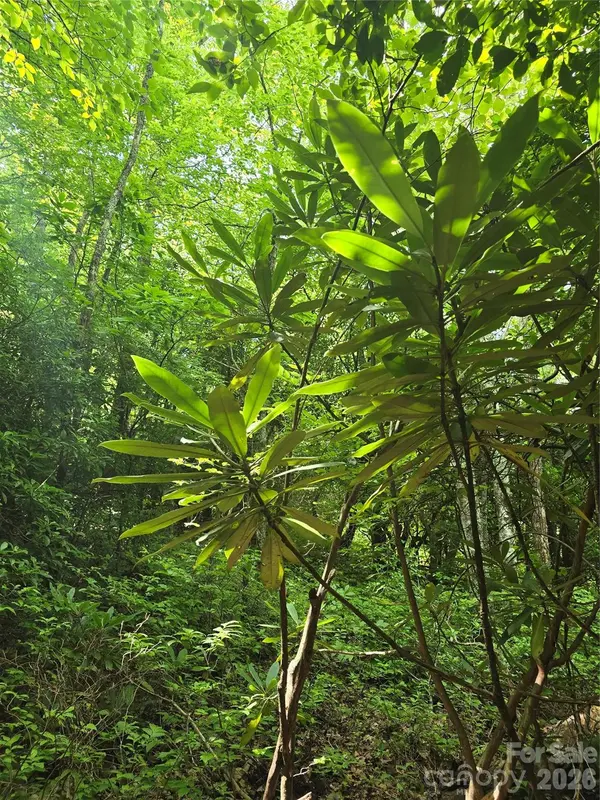 0000 Nancy Mountain RD, Rosman, NC 28772