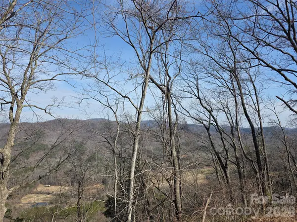 Lot 45 Ridgecrest DR, Lake Lure, NC 28746
