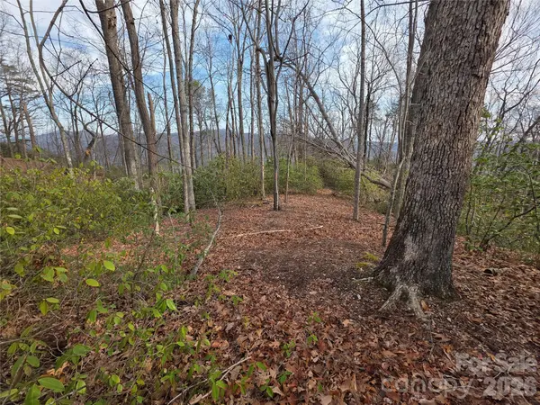 Lot 45 Ridgecrest DR, Lake Lure, NC 28746