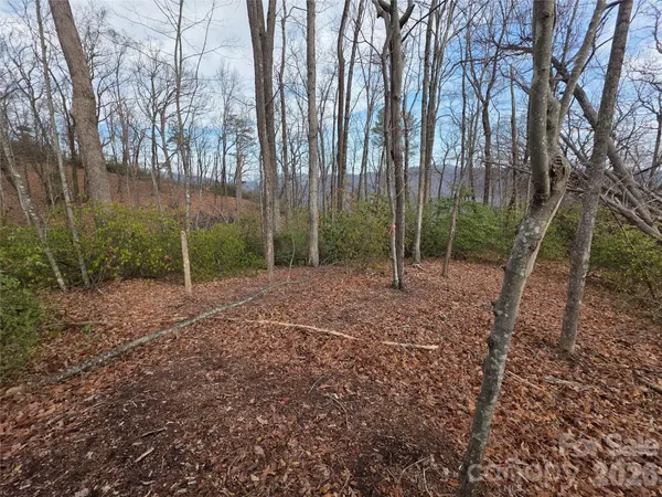 Lot 45 Ridgecrest DR, Lake Lure, NC 28746