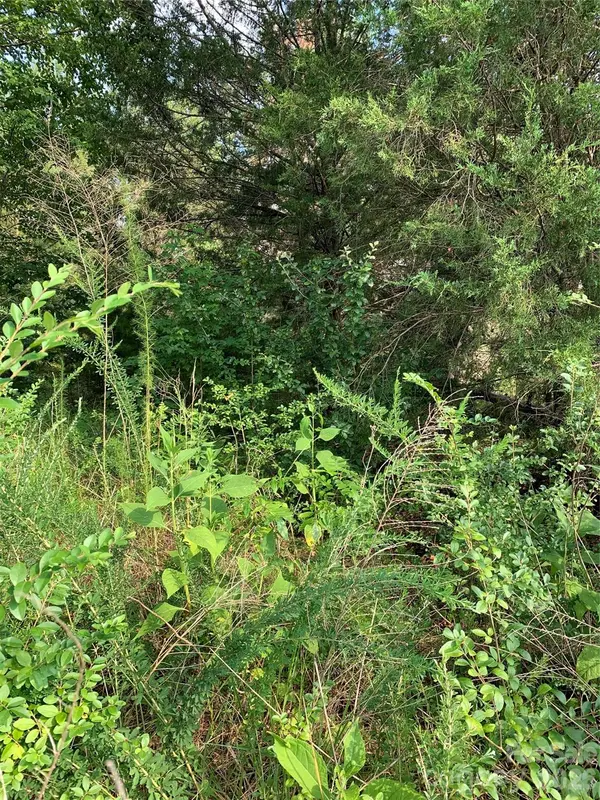 0 Rock House RD, Blacksburg, SC 29702