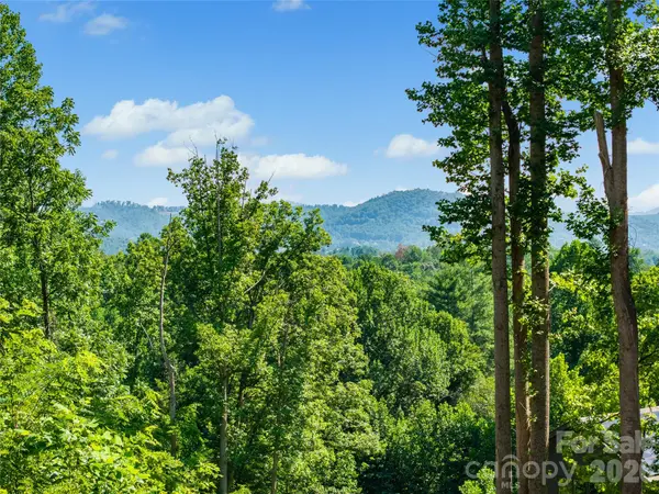 51 Wind Stone DR, Asheville, NC 28804