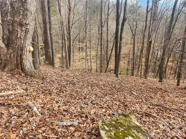 Lot 83 Walnut LN, Lake Lure, NC 28746