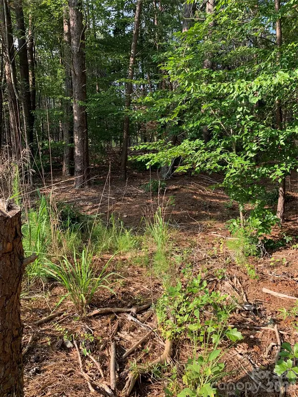 0 Rock House RD, Blacksburg, SC 29702