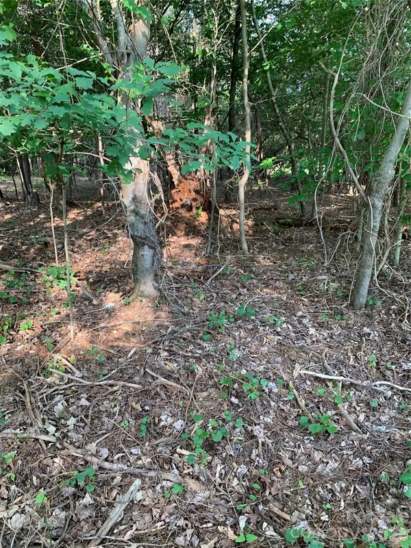 0 Rock House RD, Blacksburg, SC 29702
