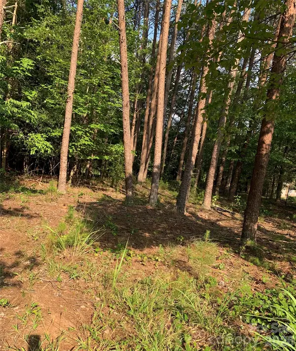 0 Rock House RD, Blacksburg, SC 29702