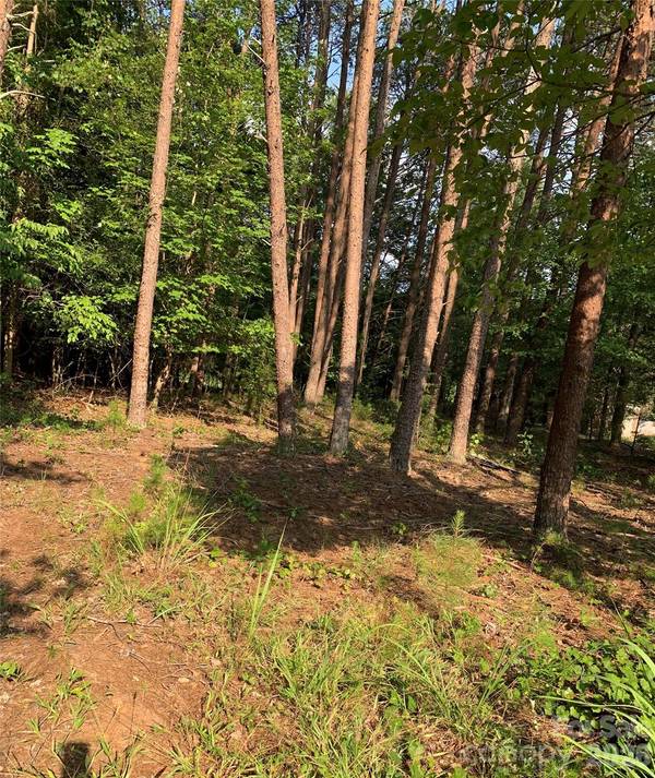0 Rock House RD, Blacksburg, SC 29702