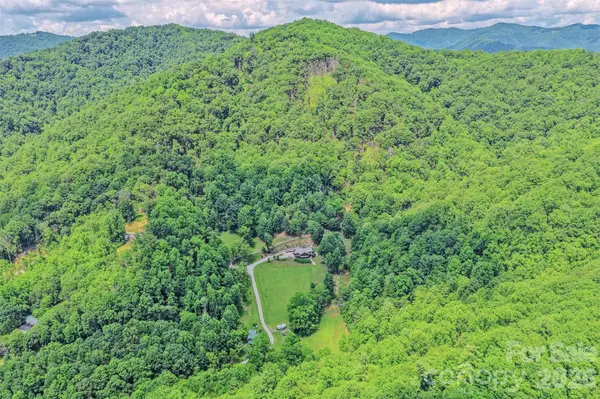 294 Red Knob LN, Marshall, NC 28753