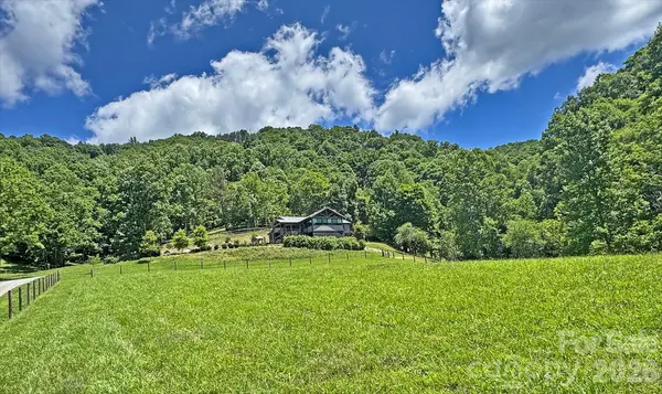 294 Red Knob LN, Marshall, NC 28753