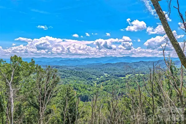 294 Red Knob LN, Marshall, NC 28753