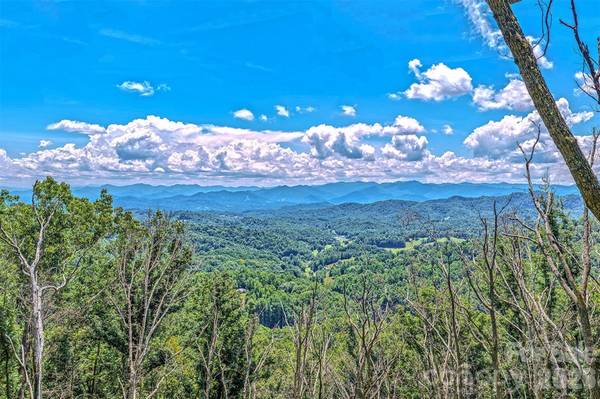 294 Red Knob LN, Marshall, NC 28753
